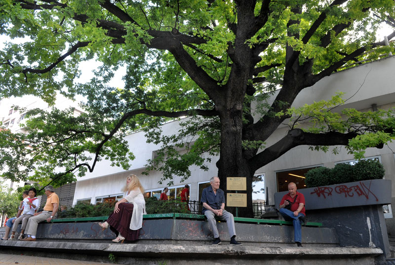 Реконструкција Цветног трга почиње око 20. јула